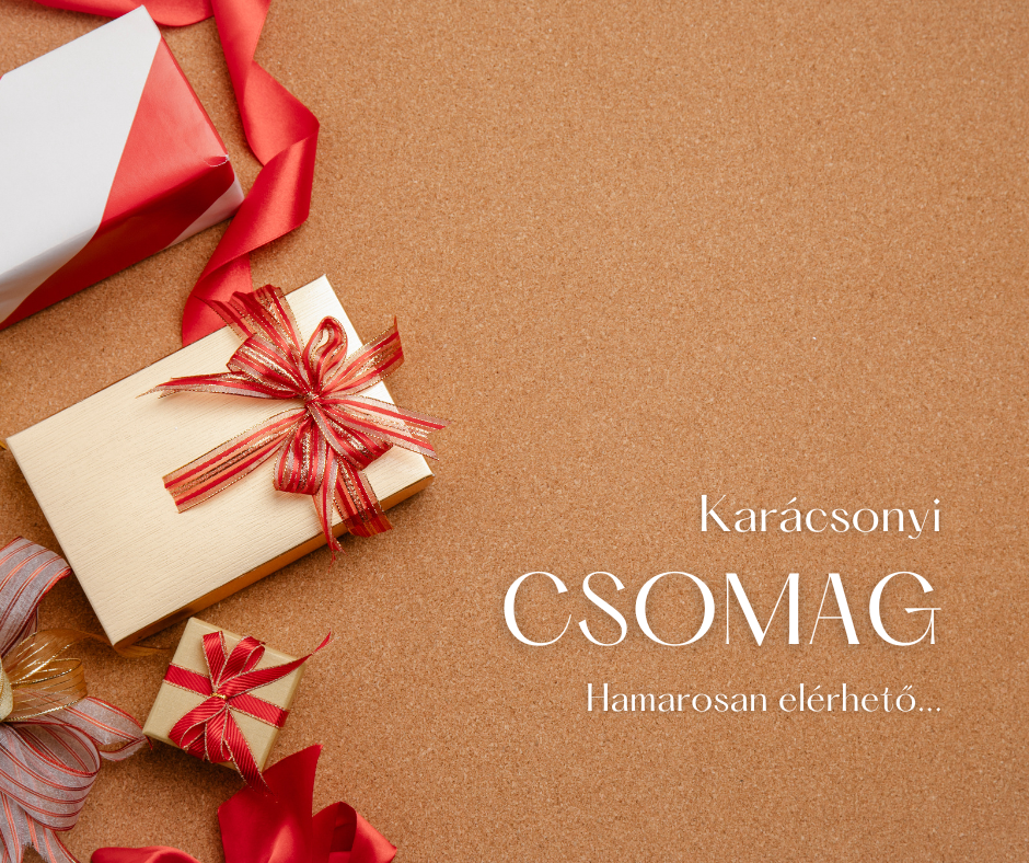 Naomi B. Larsen – Exkluzív Karácsonyi Olvasó Csomag (Dedikálva)